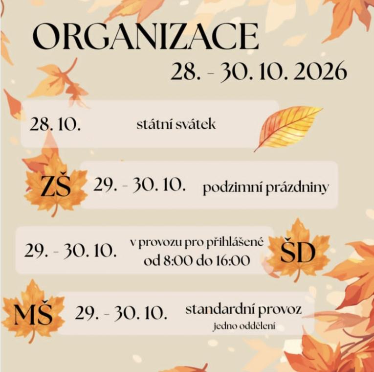 organizace